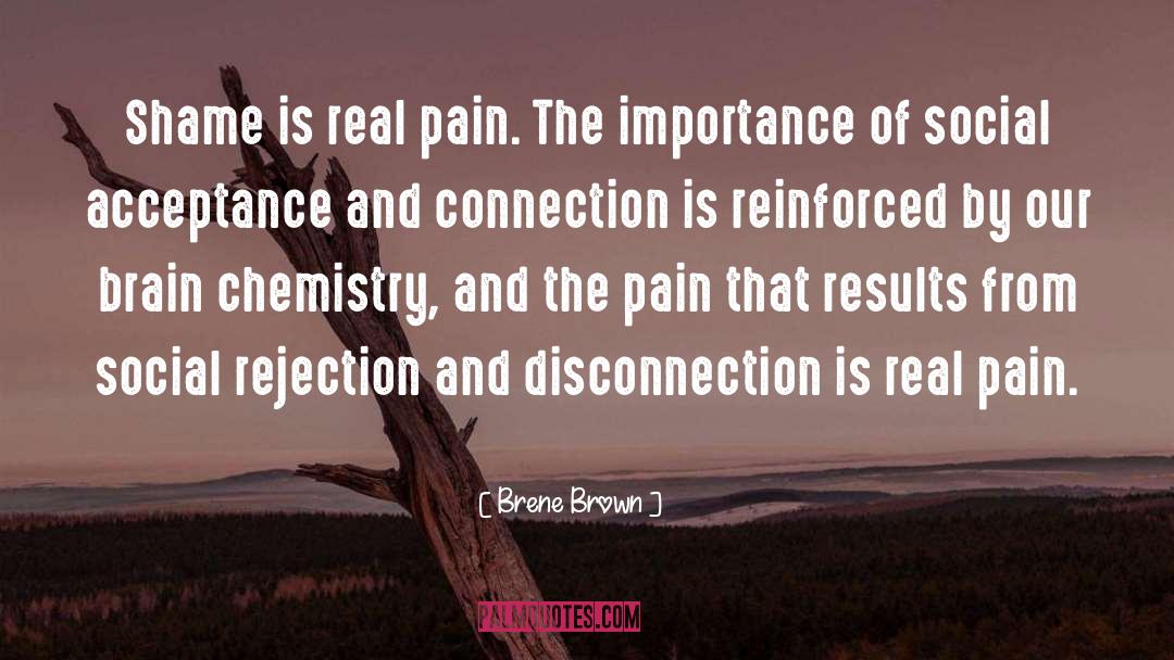 Brain Chemistry quotes by Brene Brown