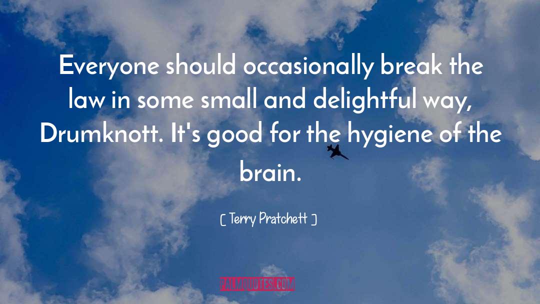 Brain Damage quotes by Terry Pratchett