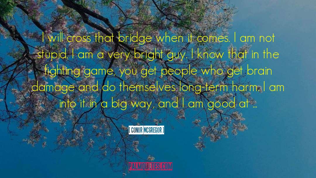 Brain Damage quotes by Conor McGregor