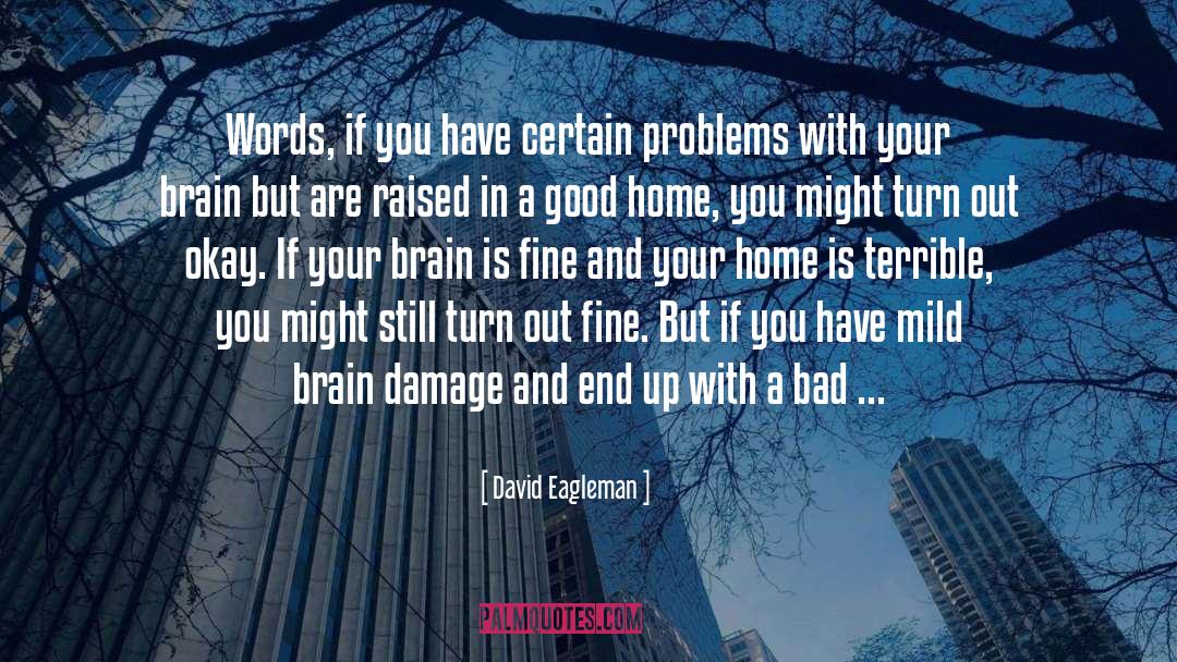 Brain Damage quotes by David Eagleman