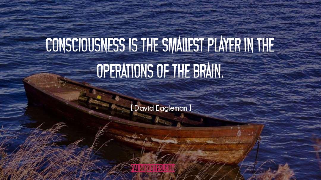 Brain Development quotes by David Eagleman