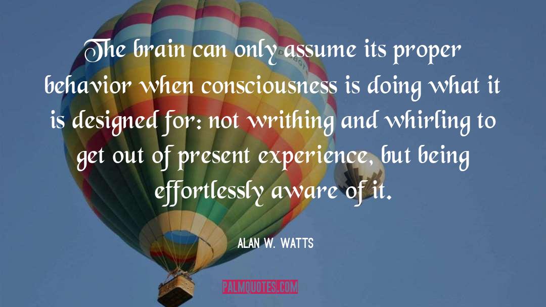 Brain Development quotes by Alan W. Watts