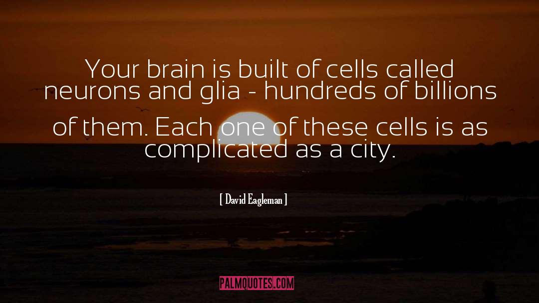 Brain Drain quotes by David Eagleman