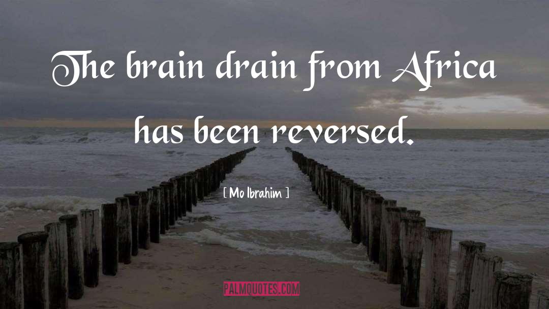 Brain Drain quotes by Mo Ibrahim