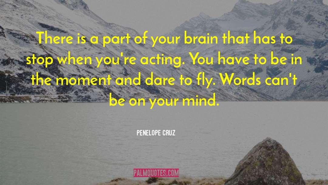 Brain Drain quotes by Penelope Cruz