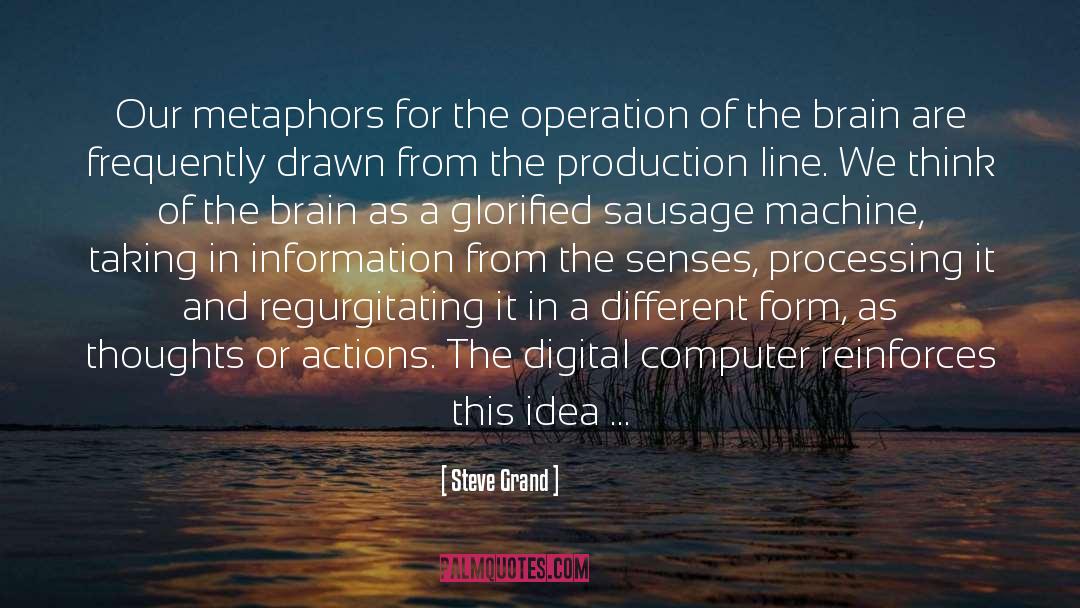 Brain Function quotes by Steve Grand