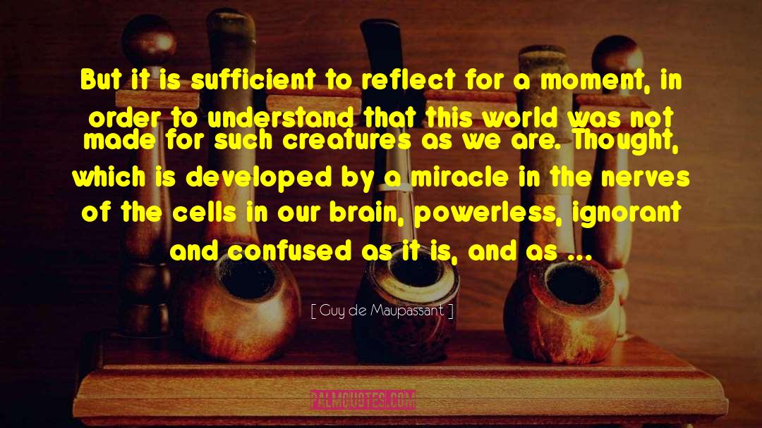 Brain Function quotes by Guy De Maupassant