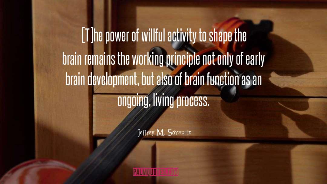 Brain Function quotes by Jeffrey M. Schwartz