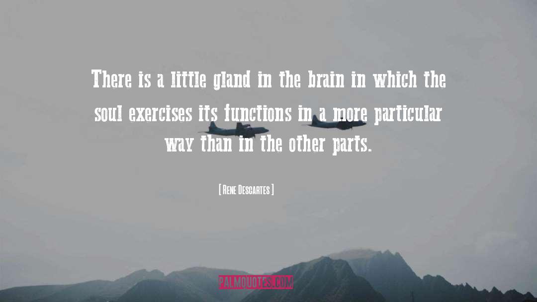 Brain Function quotes by Rene Descartes