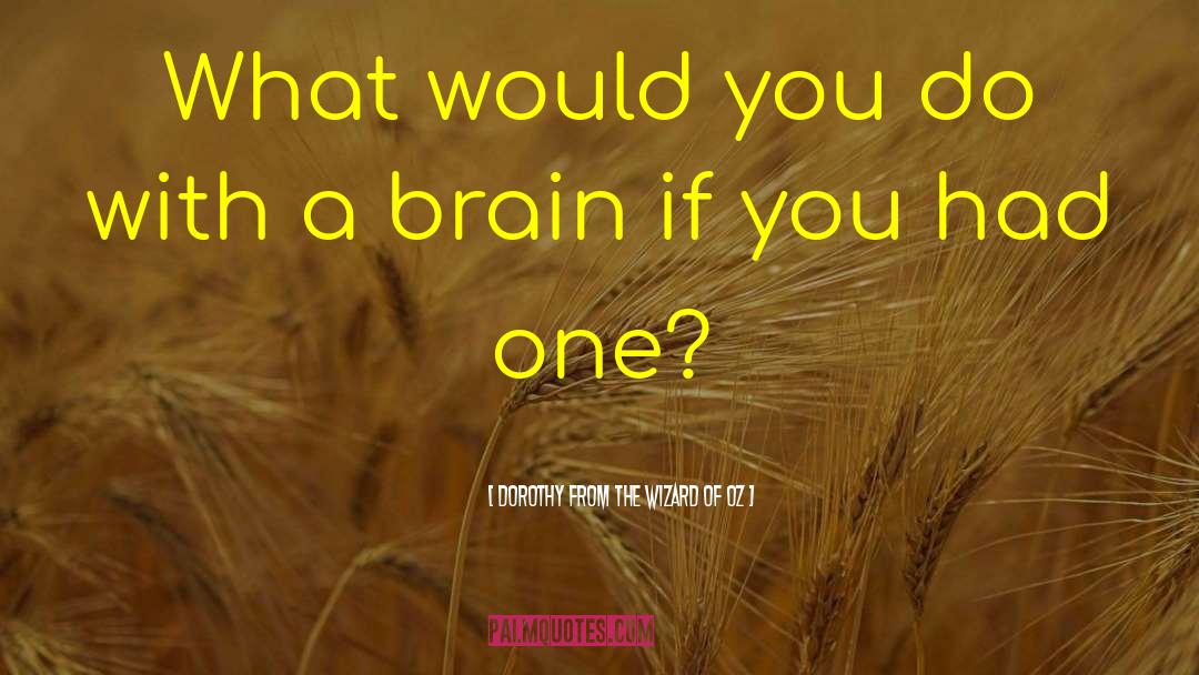 Brain Hacking quotes by Dorothy From The Wizard Of Oz