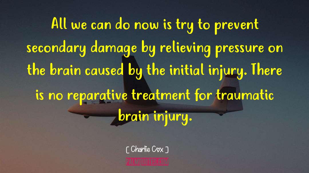 Brain Injury quotes by Charlie Cox