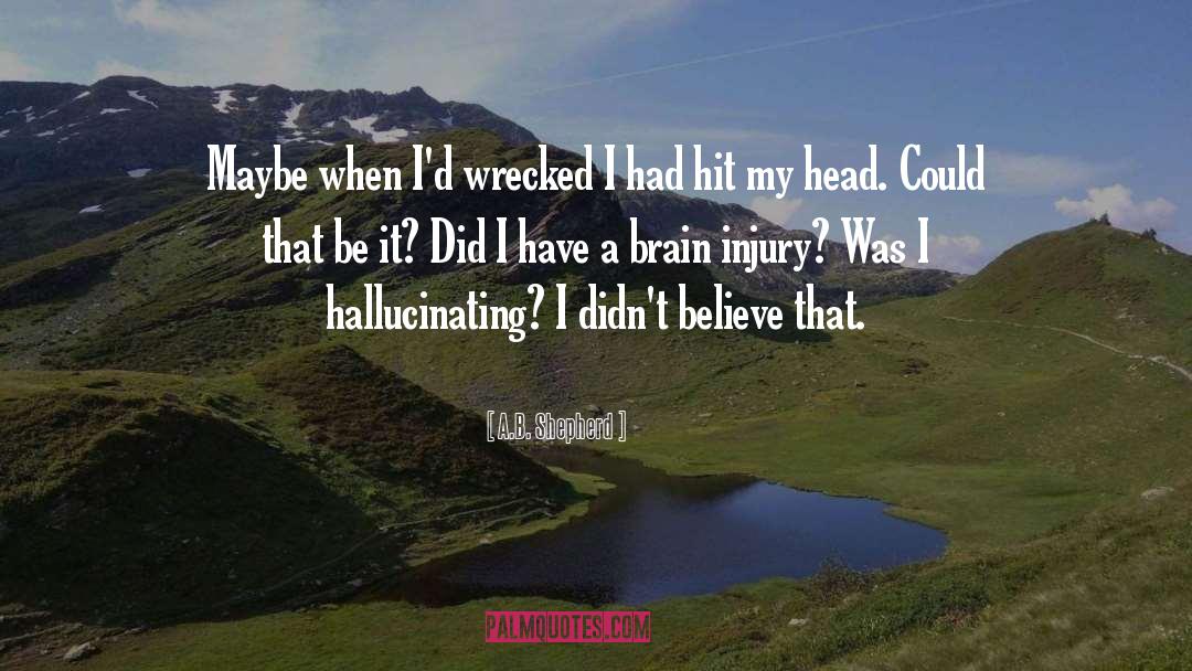 Brain Injury quotes by A.B. Shepherd