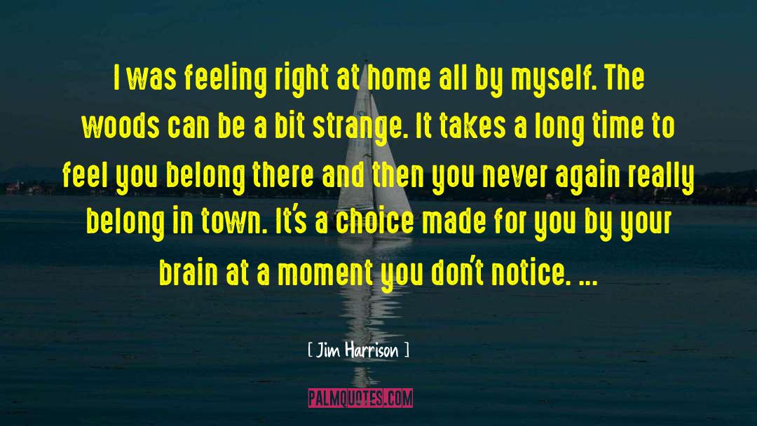 Brain Injury quotes by Jim Harrison