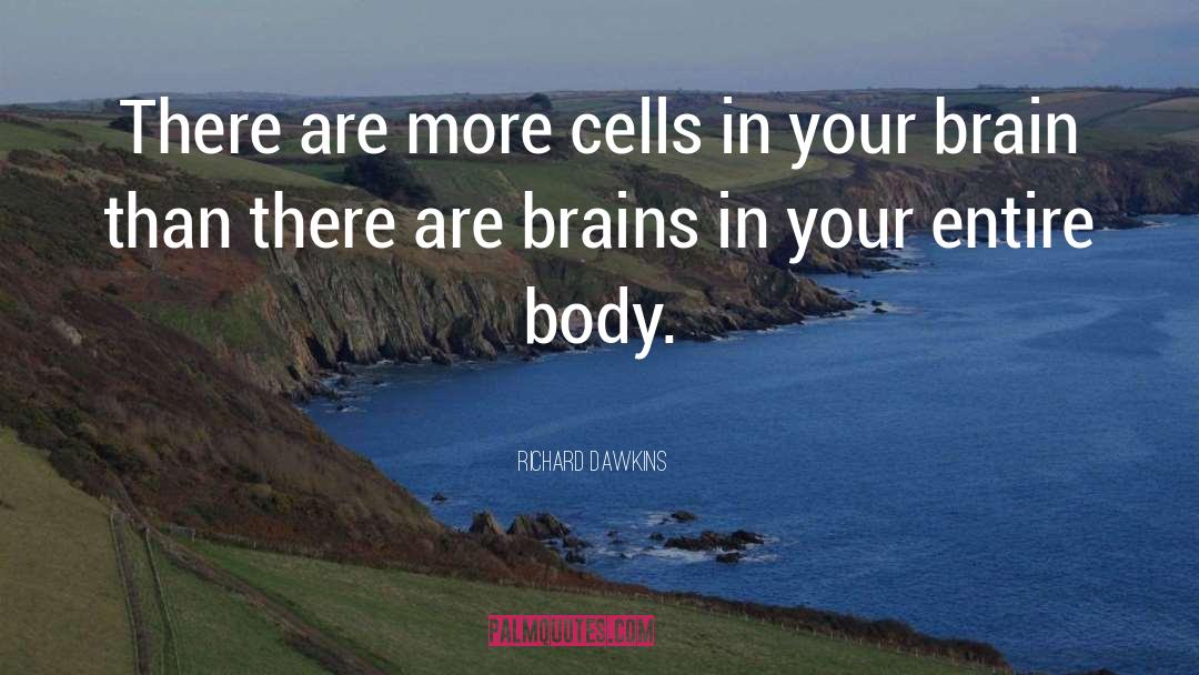Brain quotes by Richard Dawkins