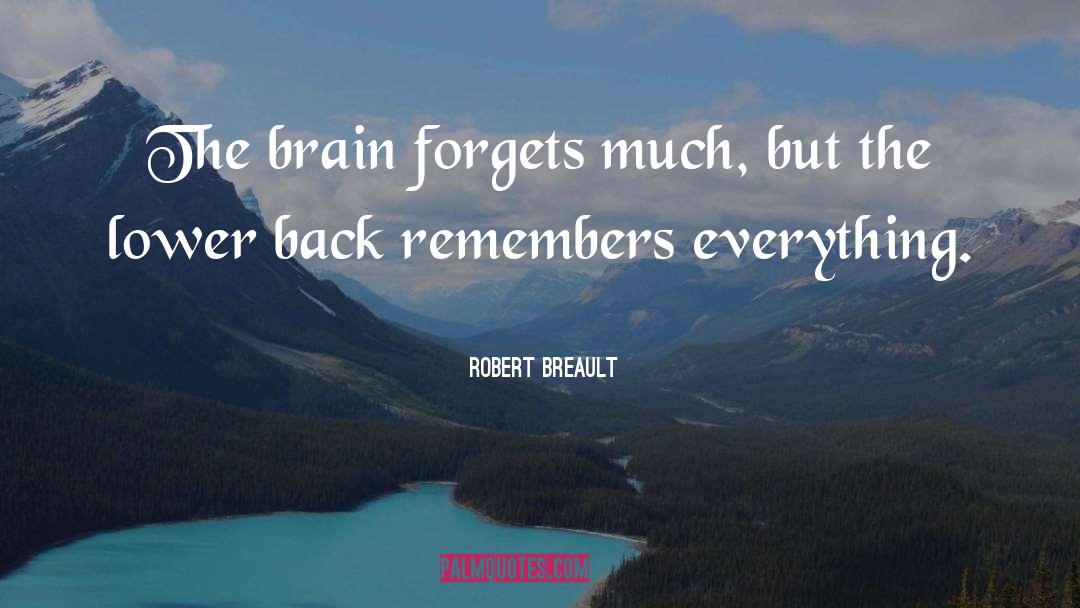 Brain quotes by Robert Breault