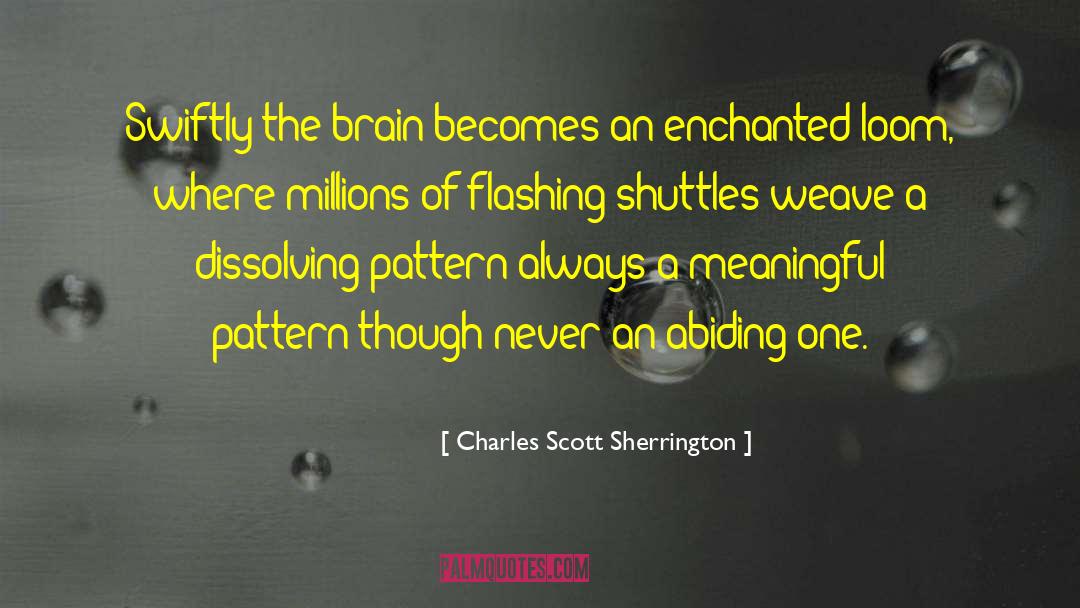 Brain Science quotes by Charles Scott Sherrington