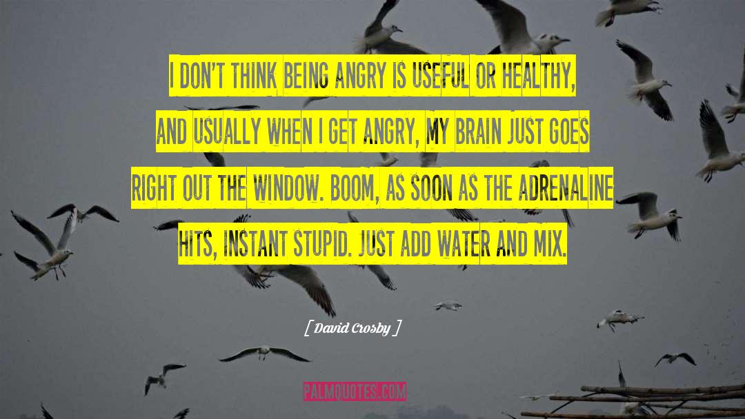 Brain Surgeons quotes by David Crosby