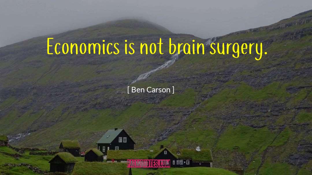 Brain Surgery quotes by Ben Carson