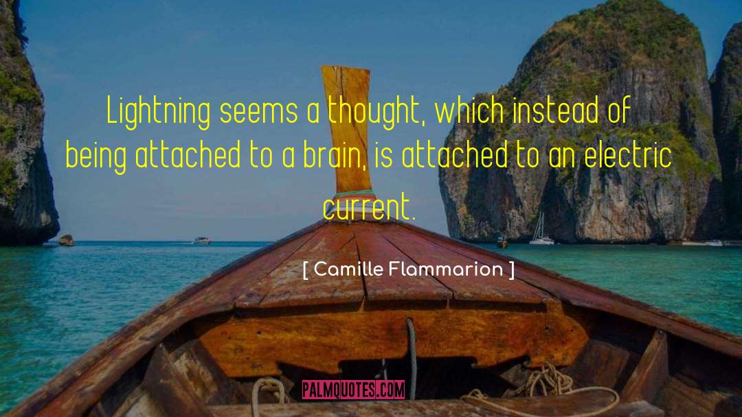 Brain Surgery quotes by Camille Flammarion