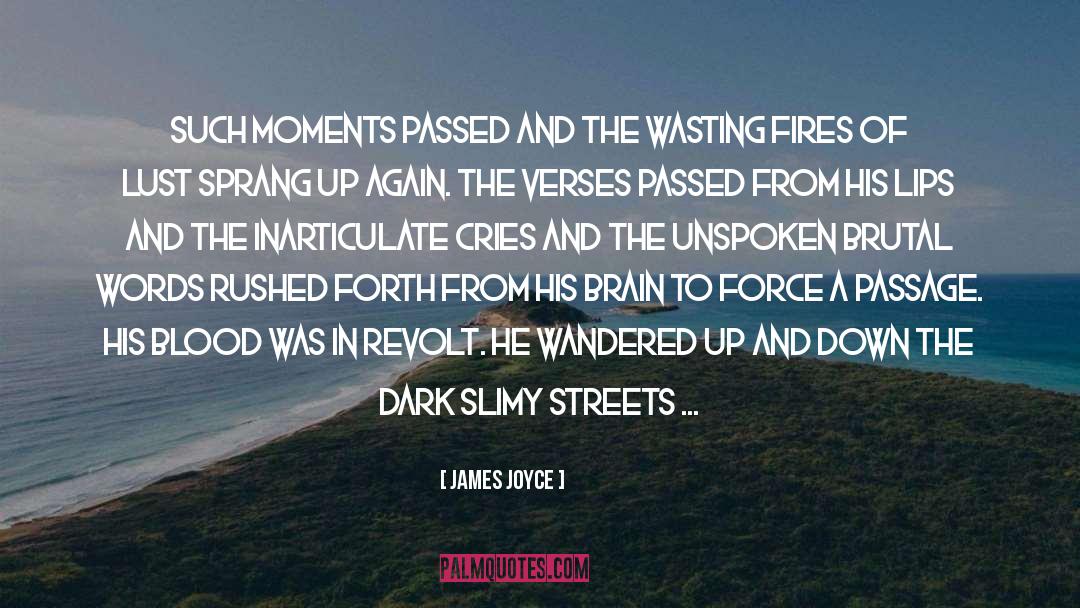 Brain Synchronization quotes by James Joyce