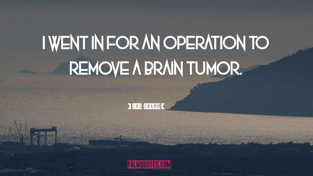 Brain Tumor Awareness quotes by Lou Gramm