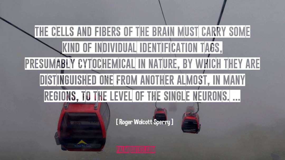 Brain Wave quotes by Roger Wolcott Sperry