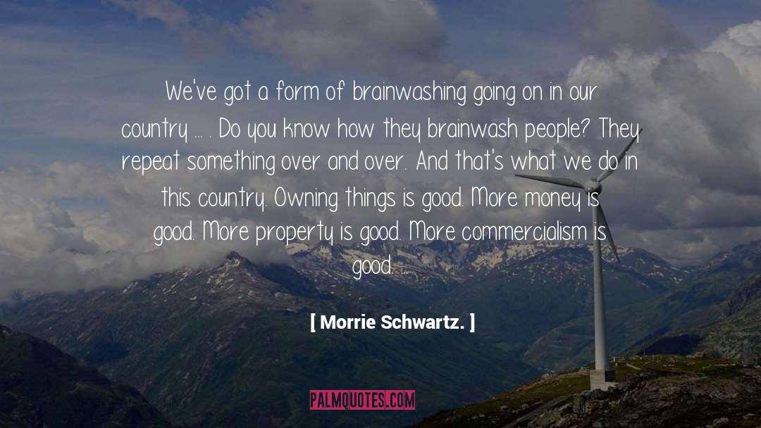 Brainwash quotes by Morrie Schwartz.