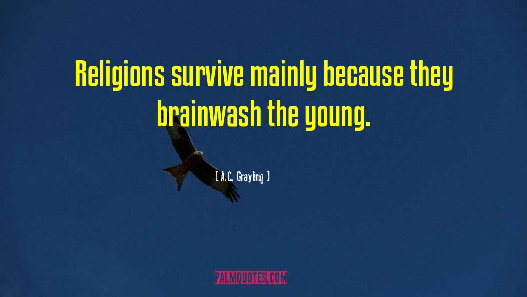 Brainwash quotes by A.C. Grayling