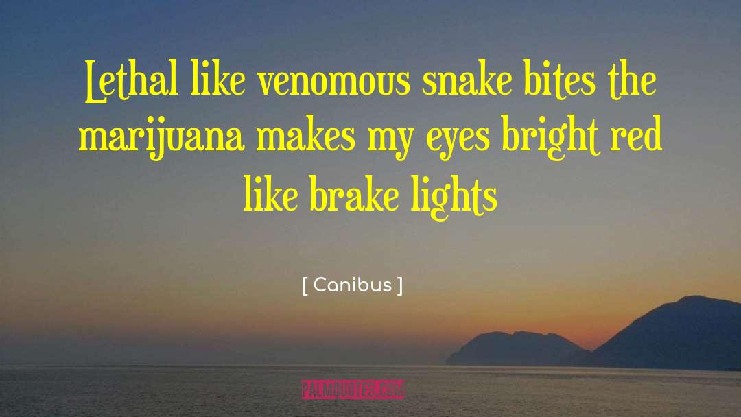 Brake Up quotes by Canibus