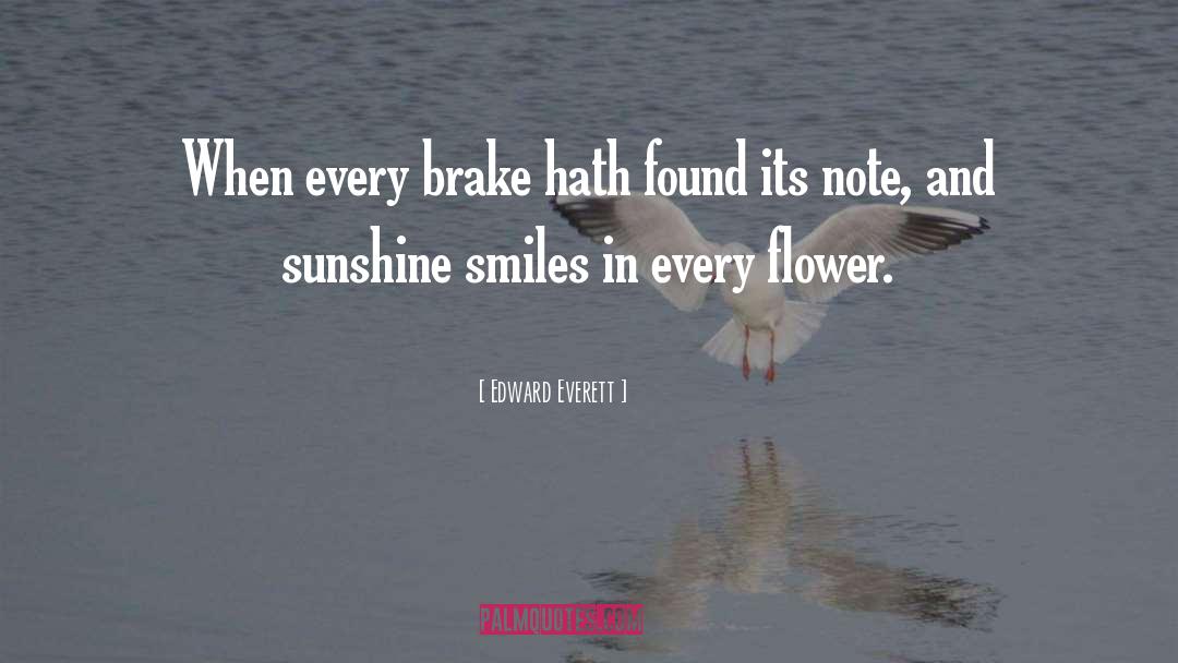 Brake Up quotes by Edward Everett