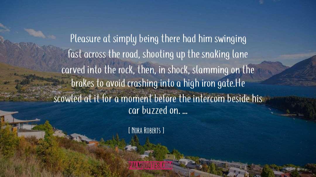 Brakes quotes by Nora Roberts