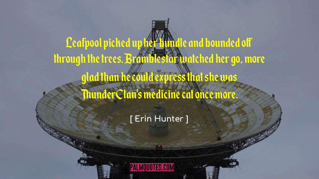 Bramblestar quotes by Erin Hunter