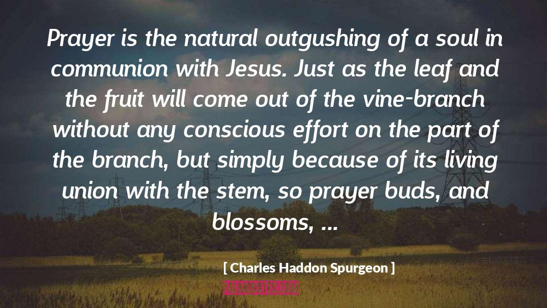 Branch quotes by Charles Haddon Spurgeon