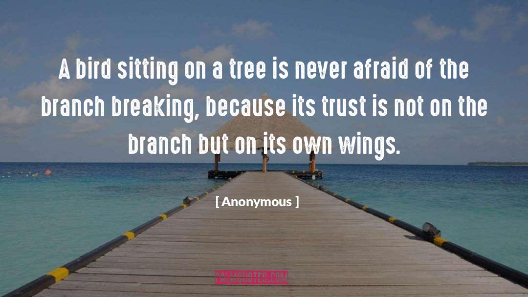 Branch quotes by Anonymous