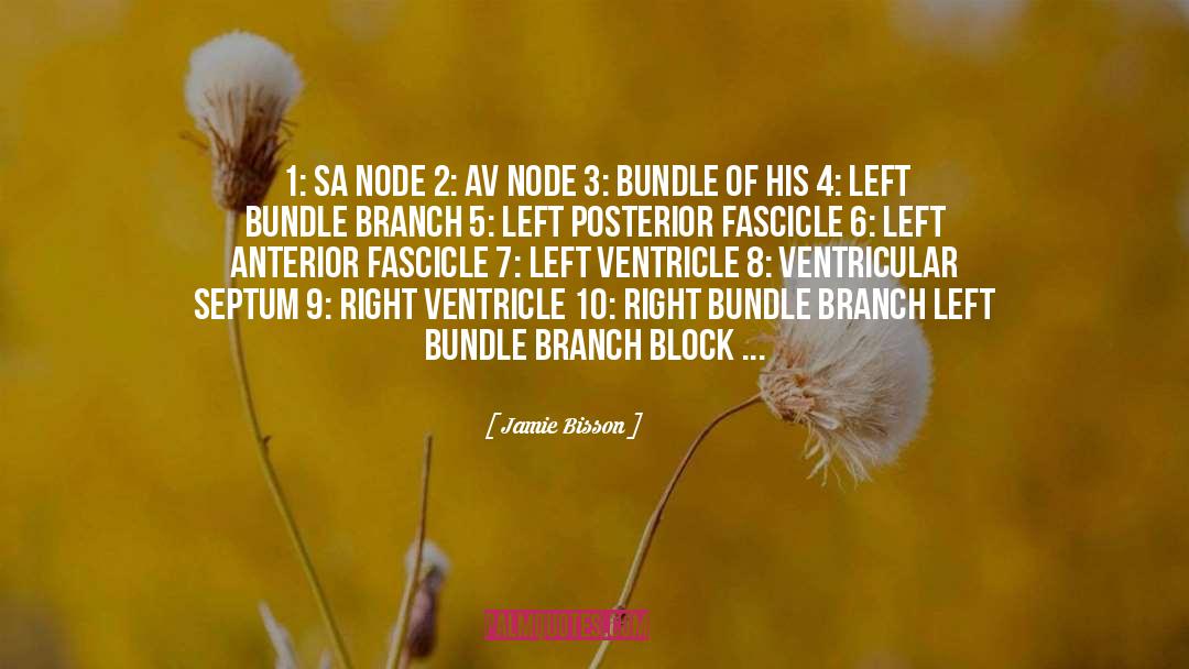 Branch quotes by Jamie Bisson