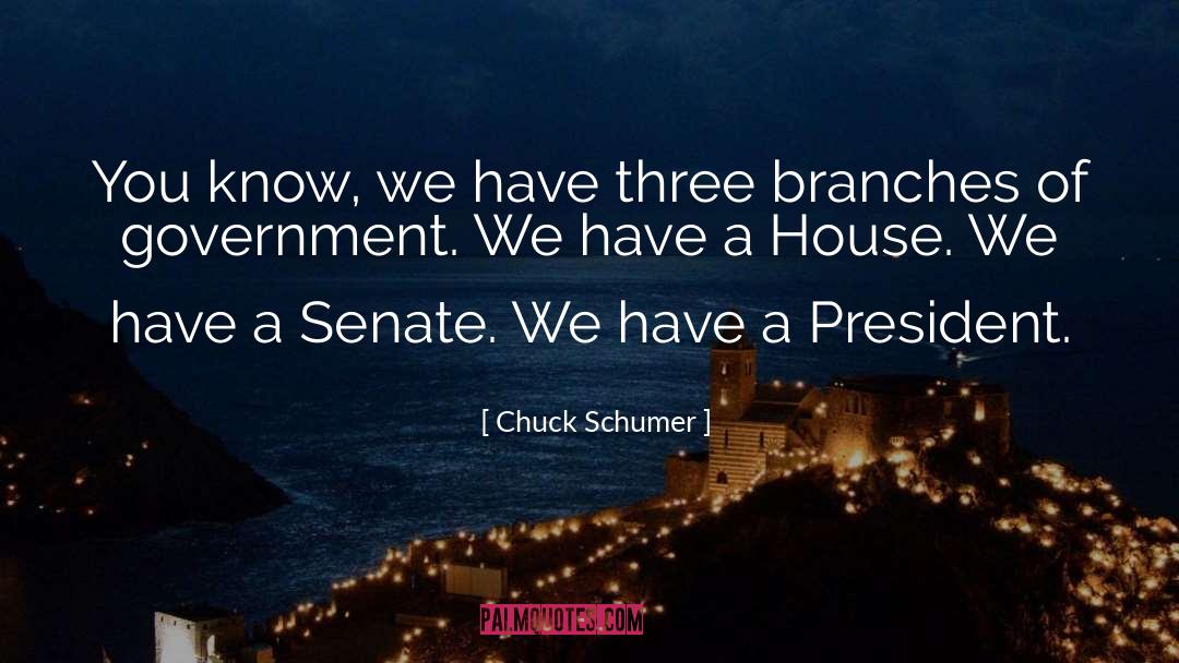 Branches Of Government quotes by Chuck Schumer