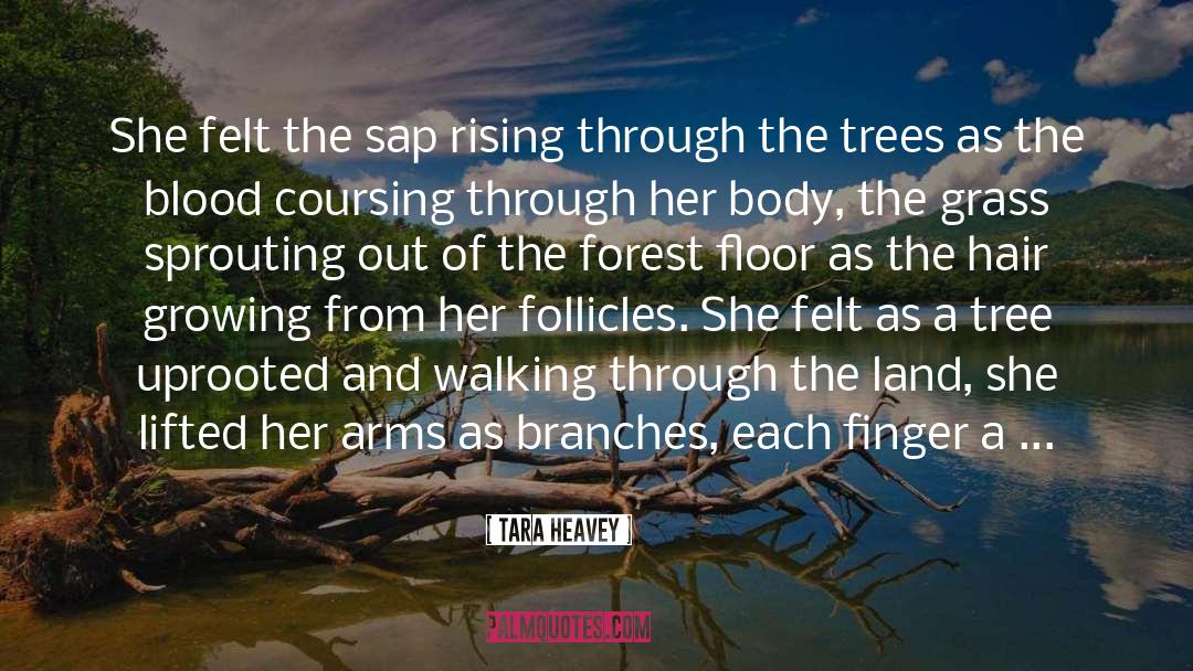 Branches quotes by Tara Heavey