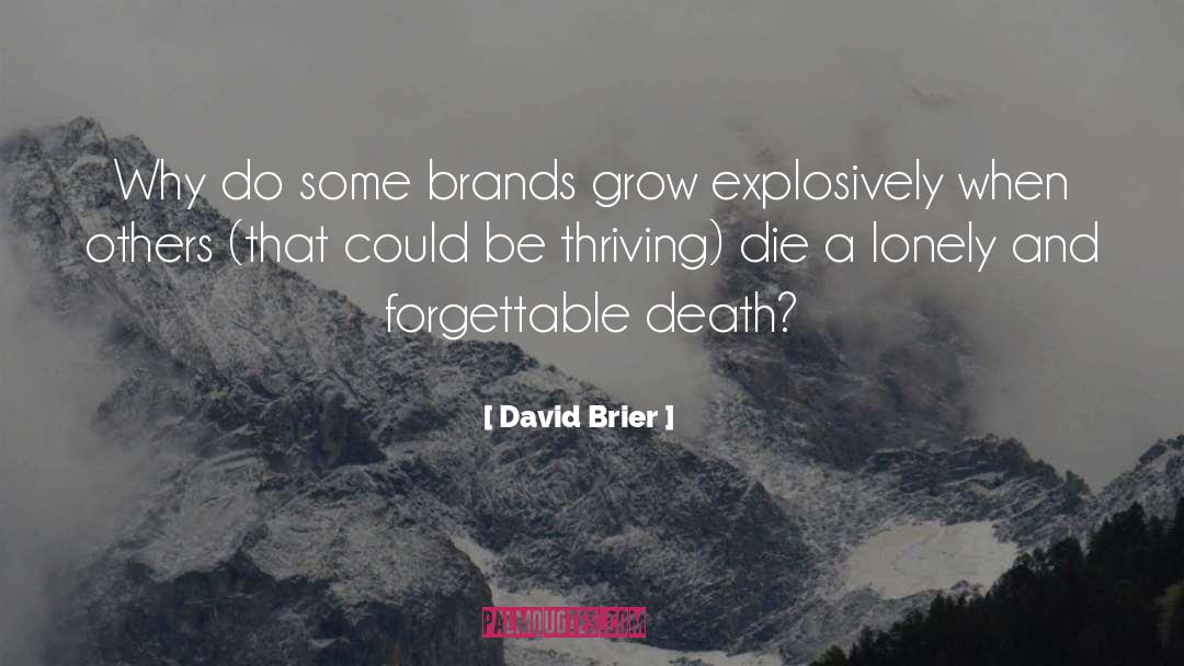 Brand Equity quotes by David Brier