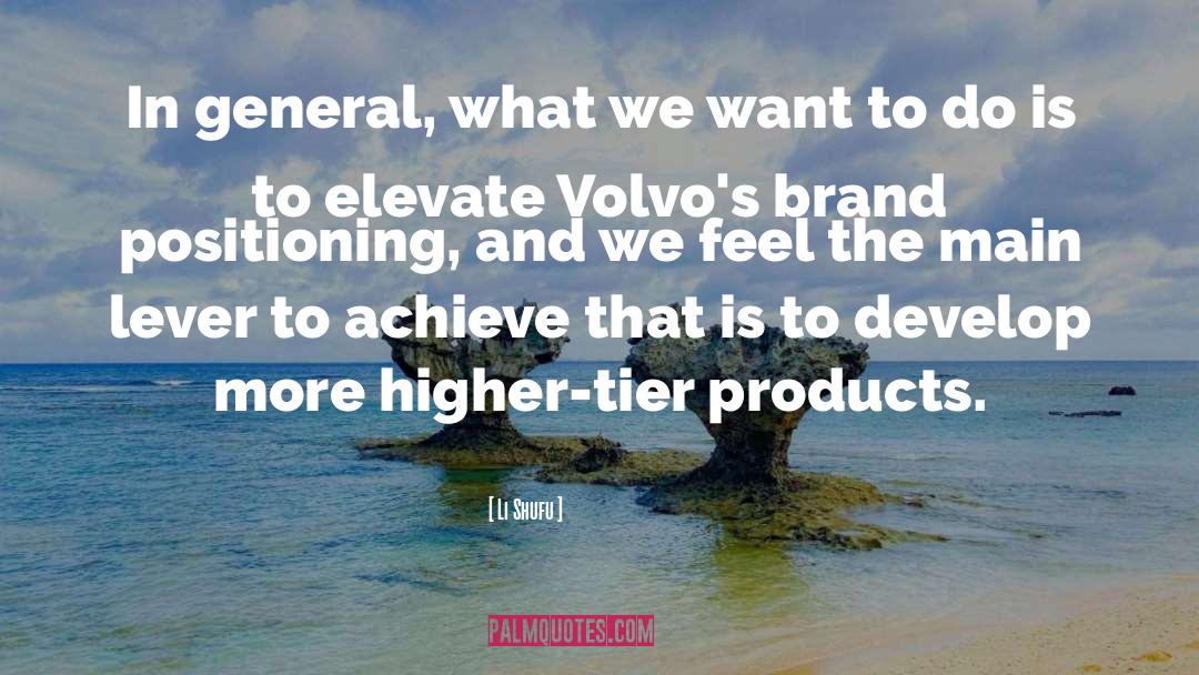 Brand Positioning quotes by Li Shufu