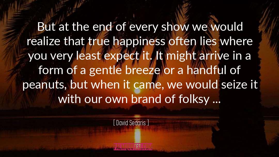 Brand Profitability quotes by David Sedaris