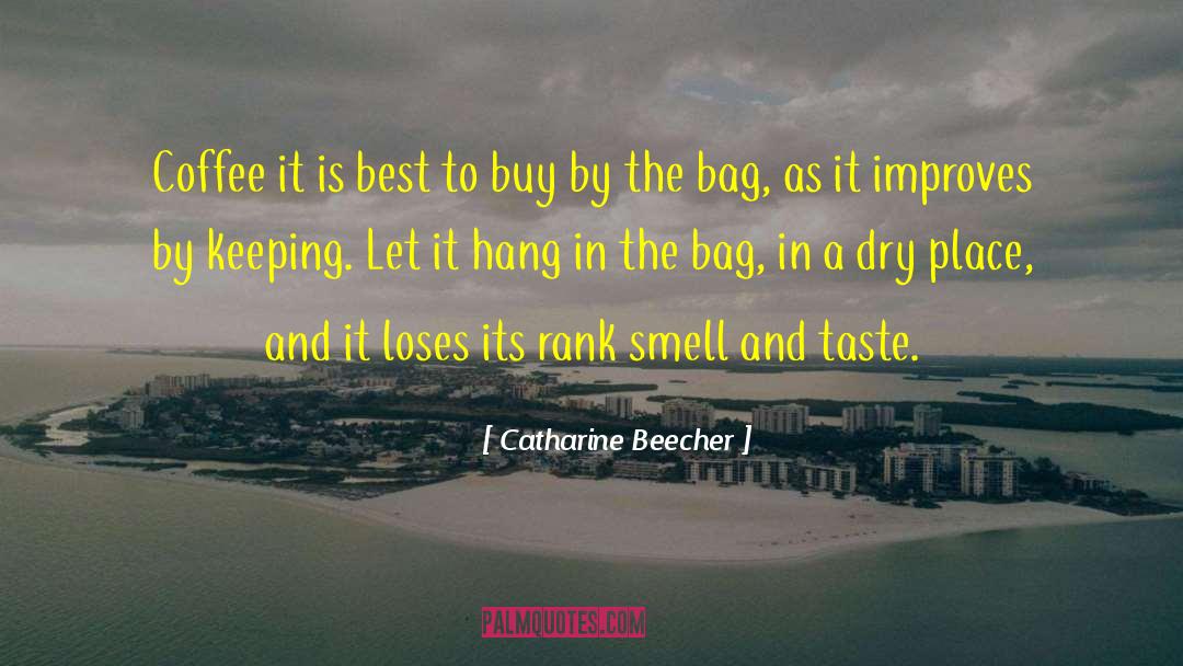 Brandable Bags quotes by Catharine Beecher