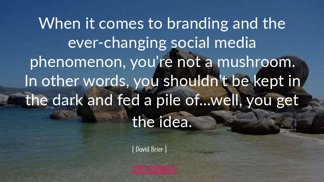 Branding quotes by David Brier