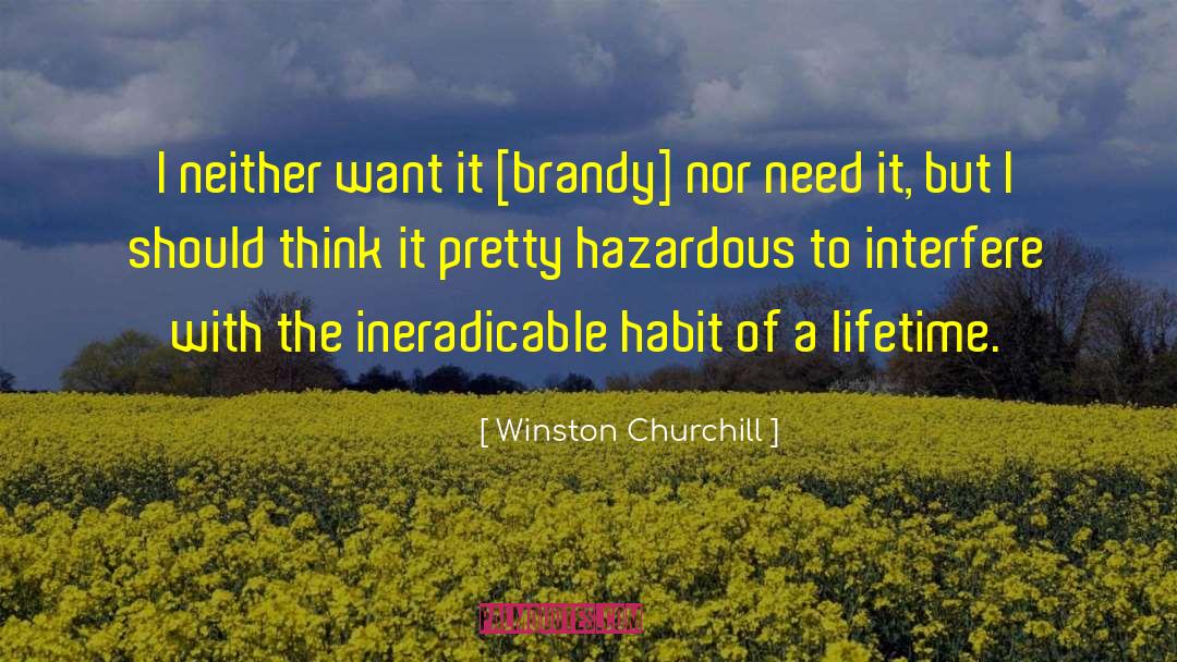 Brandy Nacole quotes by Winston Churchill
