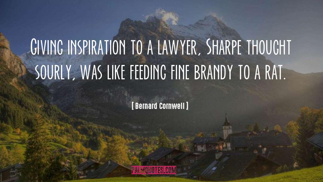 Brandy quotes by Bernard Cornwell