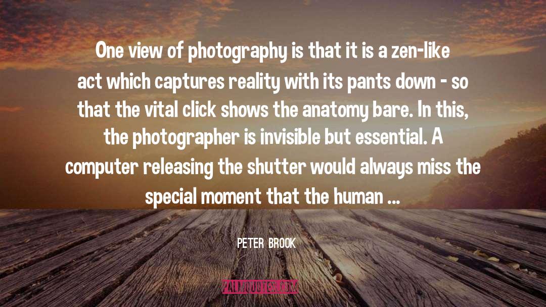Bransch Photographers quotes by Peter Brook