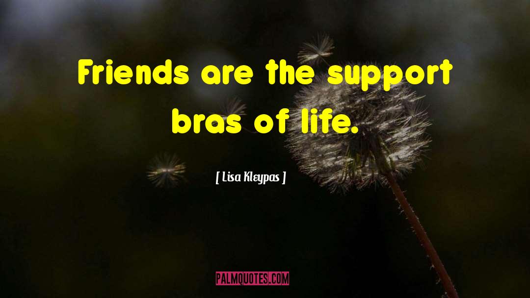 Bras quotes by Lisa Kleypas