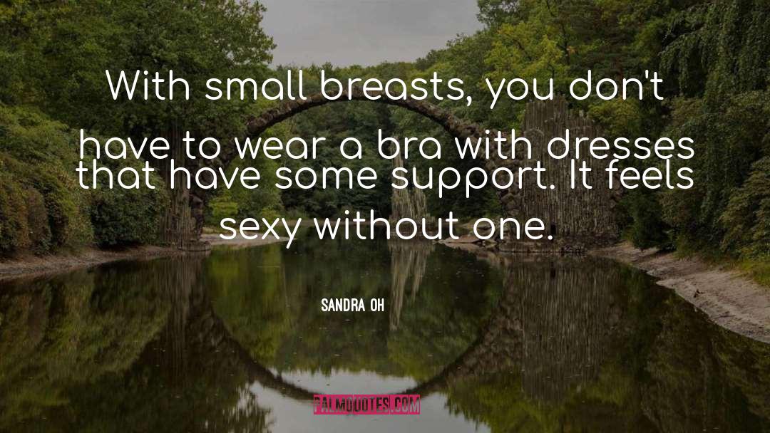 Bras quotes by Sandra Oh