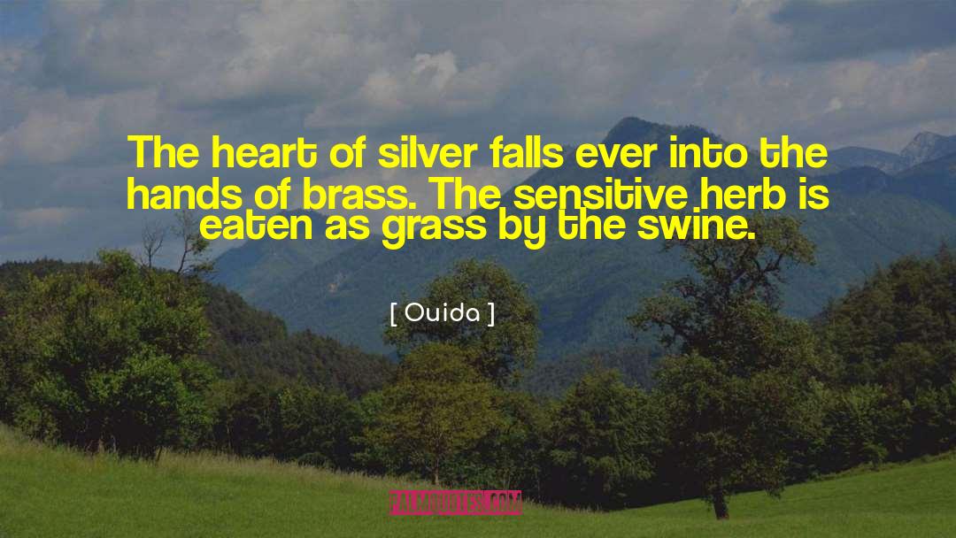 Brass quotes by Ouida