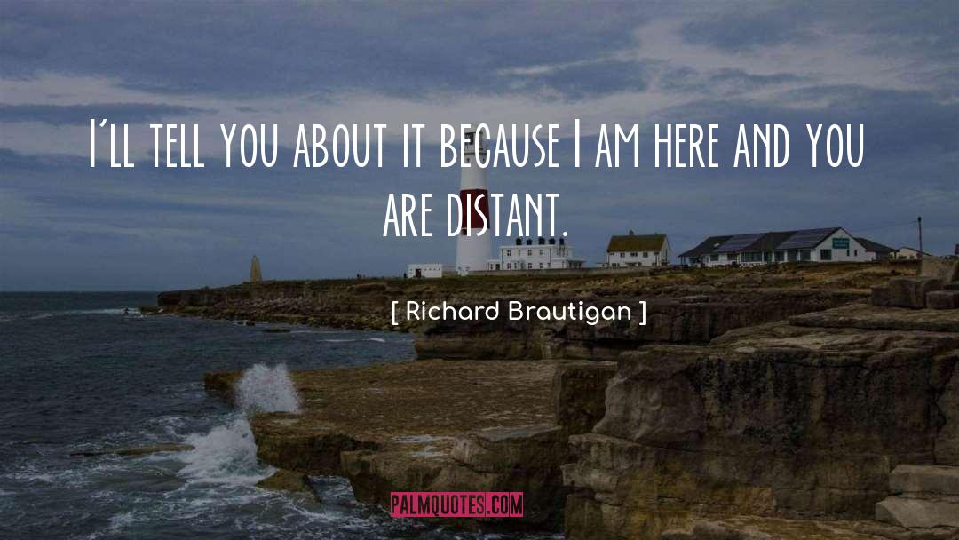 Brautigan quotes by Richard Brautigan