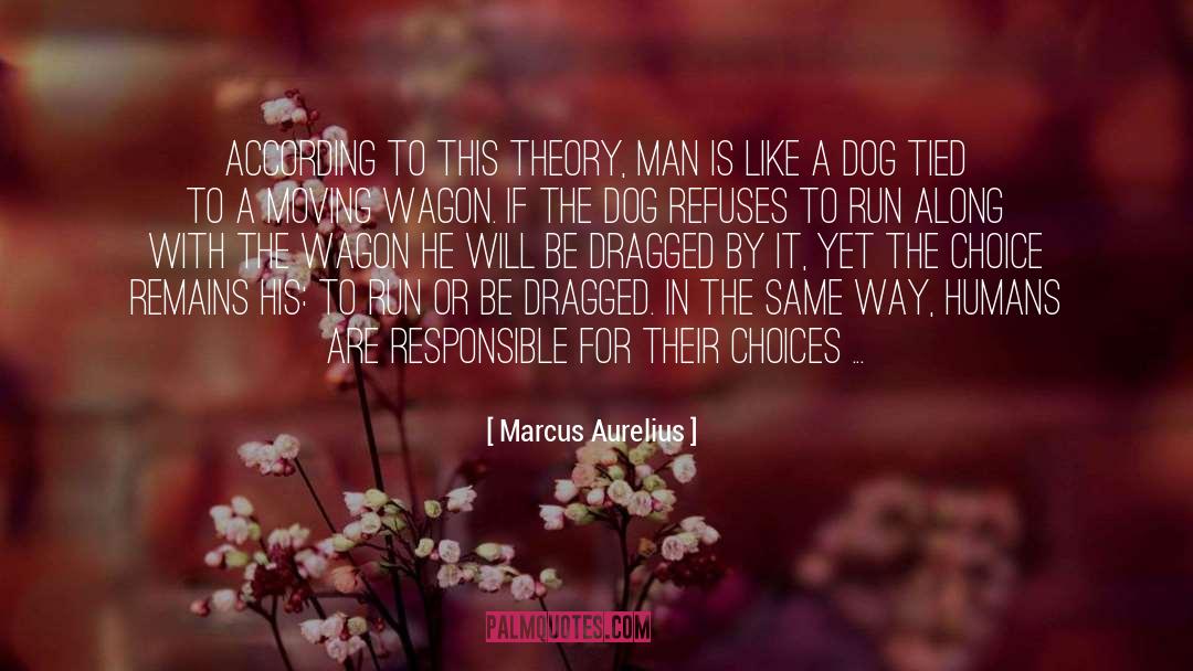 Brave Choices quotes by Marcus Aurelius